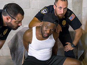 Officers In Pursuit